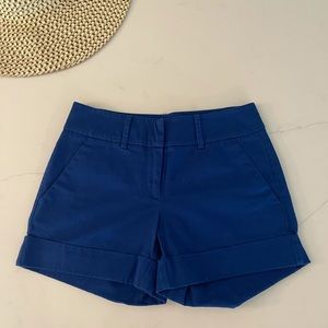 New York & Company Cotton Blue Shorts